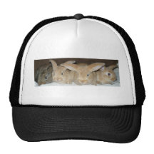 Bunny Row Hat