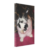Bunny Washing Gallery Wrap Canvas