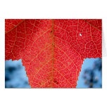 Burning Leaf Card