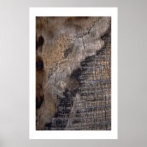 Burnt Palm Tree  posters