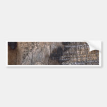 Burnt Tree Trunk bumper stickers