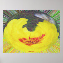 Burst Posters