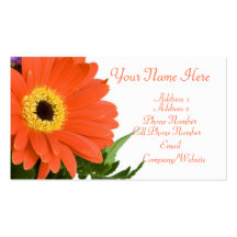 Business Card - Florist - Orange Gerbera Flowers