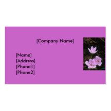 Business Card / Frequent Shopper