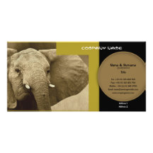 Business card profile elephant safari customisable photo card