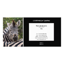 Business card profile zebra safari customise custom photo card