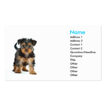 business card template Yorkshire terrier
