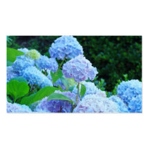 Business Cards Blue Hydrangea Flowers Floral