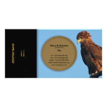 Business profile raptors eagles bateleur photo cards