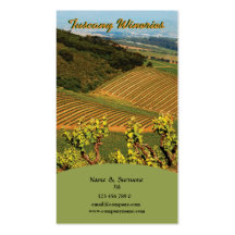 Business profile Winery vineyard grape Business Card