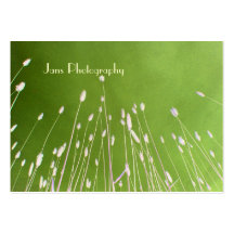 Businesscards template, wheat grass business card template