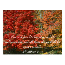 But seek first his kingdom and his ri... post cards