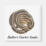 Butler's Garter Snake Refrigerator Magnet