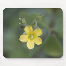 Buttercup Mouse Pad