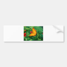 butterflies cruiser malaysia bumper sticker