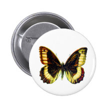 Butterfly 03 pin