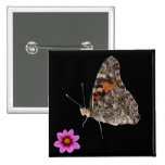 Butterfly and Pink Flower