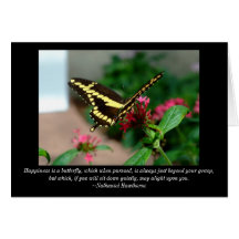 Butterfly Blank Card