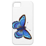 Butterfly blue Case-Mate Case iPhone 5 Covers