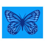 Butterfly Blues Announcement
