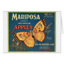 Butterfly Card