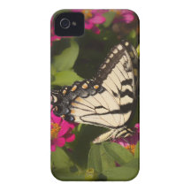 Butterfly Delight Case-Mate Case Case-Mate iPhone 4 Cases