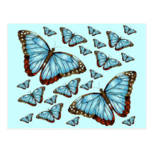 Butterfly Delight Postcards