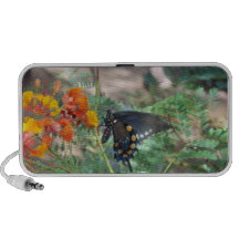 Butterfly Doodle Speaker