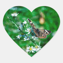 Butterfly & Flowers Stickers