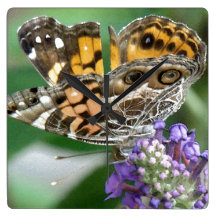 Butterfly Flowers Wall Clock