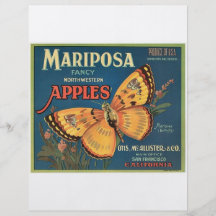 Butterfly Full Colour Flyer