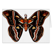 Butterfly cards