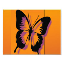 Butterfly in Orange Photograph