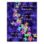 Butterfly Love/Colourful-Quote Post Cards
