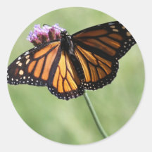 Butterfly Love Round Sticker