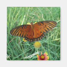 Butterfly Magnet