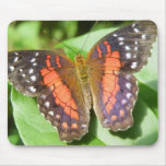 butterfly mouse mats