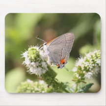 Butterfly Mouse Pad