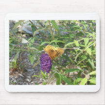 butterfly mousepad