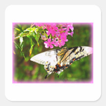 Butterfly on Pink Flower Stickers