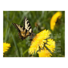 Butterfly Perch; 2013 Calendar Photo