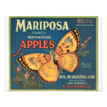 Butterfly Personalised Announcements