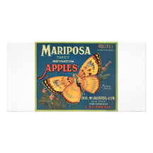 Butterfly Personalized Photo Card