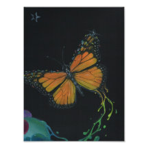 Butterfly Photo
