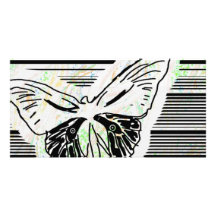 butterfly photo card