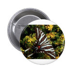 Butterfly Pinback Button