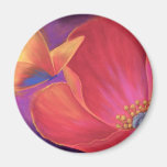 Butterfly Pink Poppy Art - Multi Refrigerator Magnets