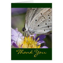 Butterfly Thank You Card