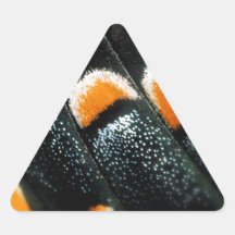 Butterfly Wing Scale Pattern Triangle Sticker