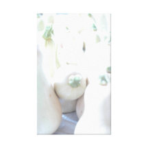 Butternut Squash Stretched Canvas Prints
